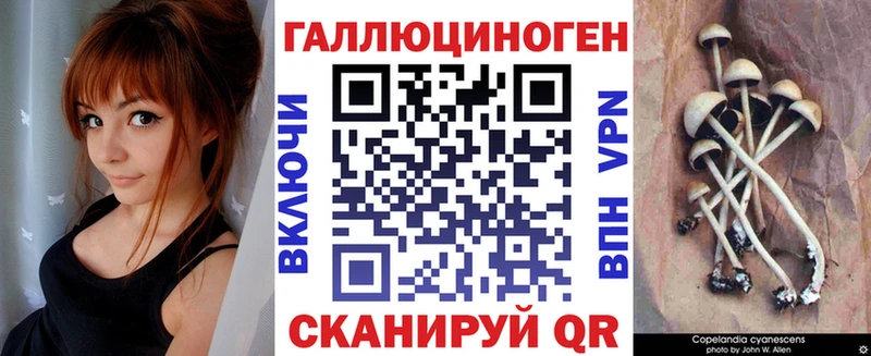 Псилоцибиновые грибы Magic Shrooms  Жердевка 